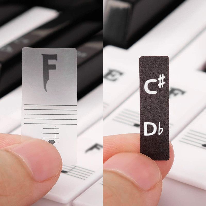 Palap 2.54 cm BLKNEWSTICKERS Removable Sticker  (Pack of 1)