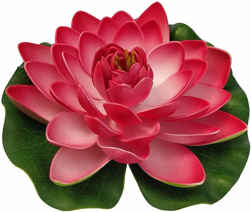 Kanha Artificial light red Floating Lotus Flowers with Rubber Leaf for Outdoor indoor Home Decoration Red Lotus Artificial Flower  (7 inch, Pack of 1, Single Flower)
