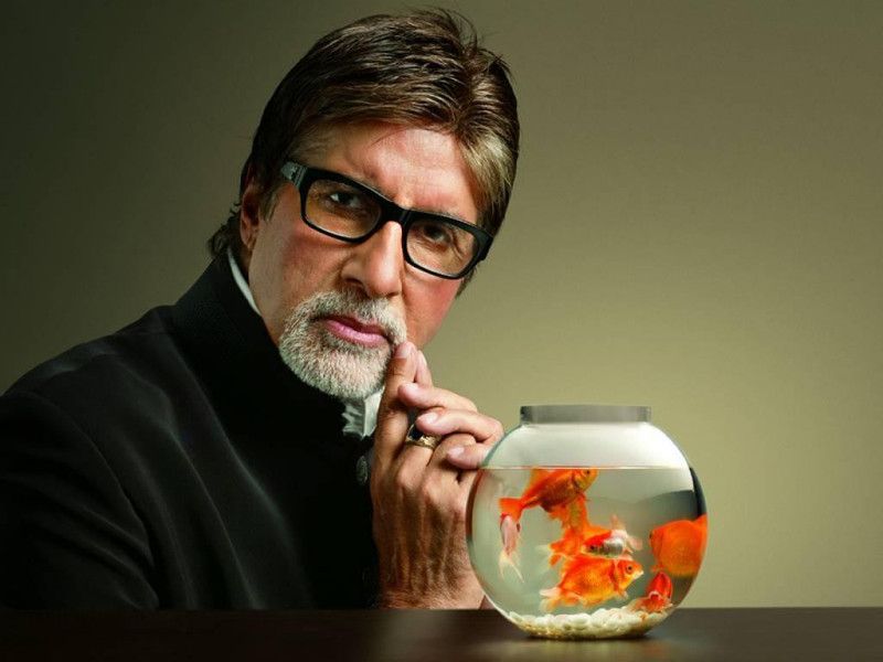 Amitabh bachchan poster Multicolor Photo Paper Print Poster Photographic Paper 18 inch X 12 inch, Rolled Photographic Paper  (18 inch X 12 inch, Rolled)