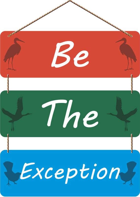 Ankirah Be The Exception Wall Hanging  (Multicolor)