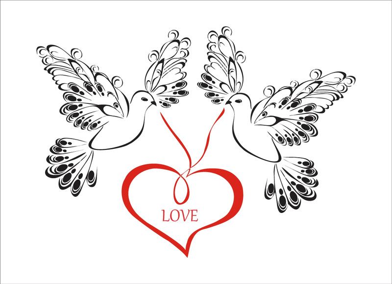 Psychedelic Collection 91 cm decorative abstract love birds wall sticker Self Adhesive Sticker  (Pack of 1)