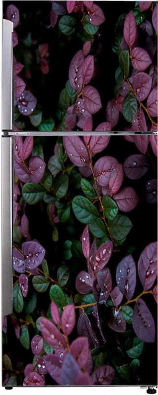 Advait Designs 60 cm Advait Designs Decorative beautiful multicolour leaves with dark background extra lardge fridge sticker for fridge decor (pvc vinyl multicolor) Self Adhesive Sticker  (Pack of 1)