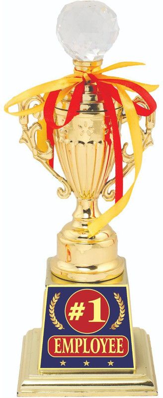 AARK INDIA Best Employee Performance 1St Place Corporate (PC00936) Trophy  (10.5 Inch)