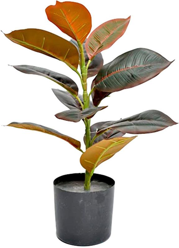 Kayra Decor Rubber Artificial Plant with Pot – 1.75 feet Artificial Plant with Pot  (50.8 cm, Green)