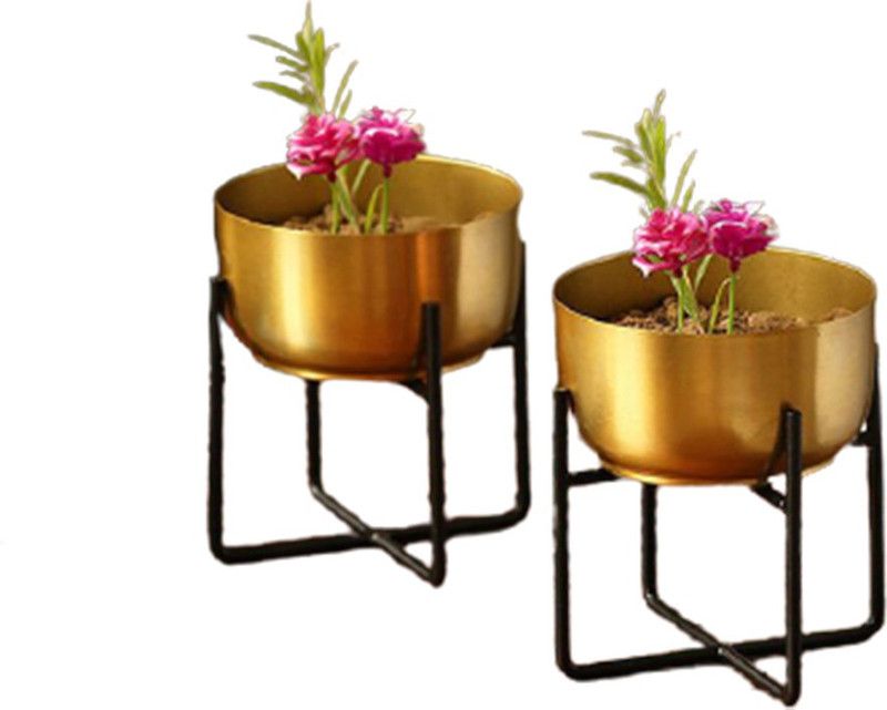 Order Happiness The Golden Bowls' Table Planter Pots with Crossed Stands ( Set of 2) Multicolor Wild Flower Artificial Flower with Pot  (5 inch, Pack of 2, Flower with Basket)