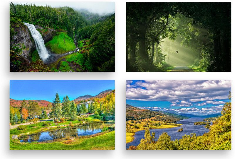 PRINTHUBS 30.48 cm Natural Sticker Poster For Livingroom Home Wall Decor (Size 12x18 Inch)s73 Removable Sticker  (Pack of 4)