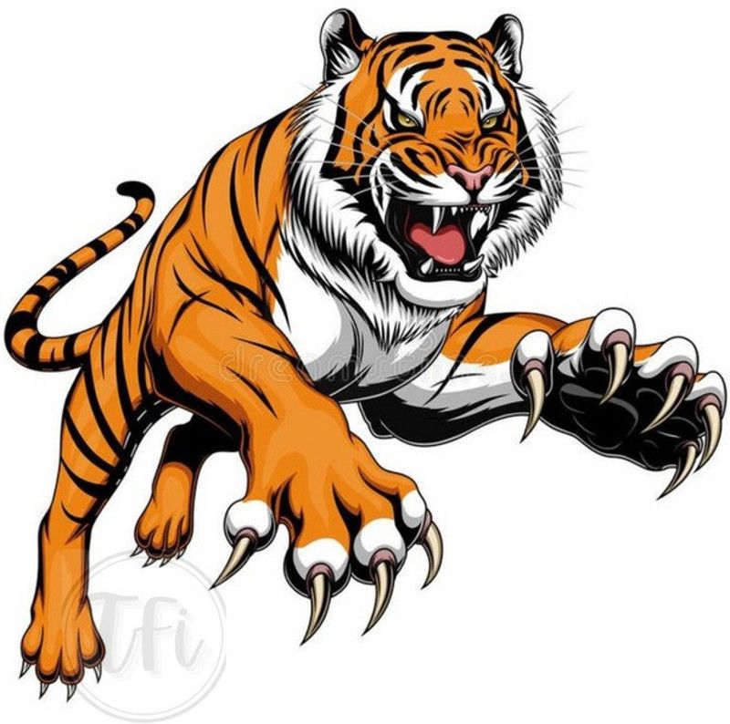 Tiger Poster | Tiger Posters for Room | Unframed | With Self Adhesive Tape Paper Print  (18 inch X 12 inch, Rolled)