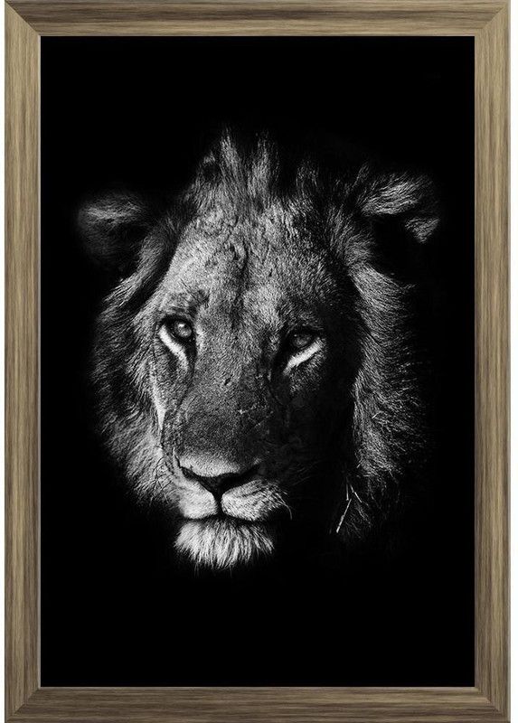 Portrait Of A Lion Paper Poster Antique Golden Frame | Top Acrylic Glass 13inch x 19inch (33cms x 48.3cms) Paper Print  (19 inch X 13 inch, Framed)