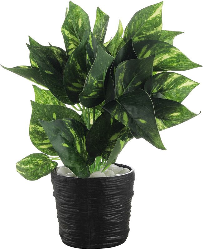 Foliyaj Artificial Plant with Pot  (30 cm, Multicolor)