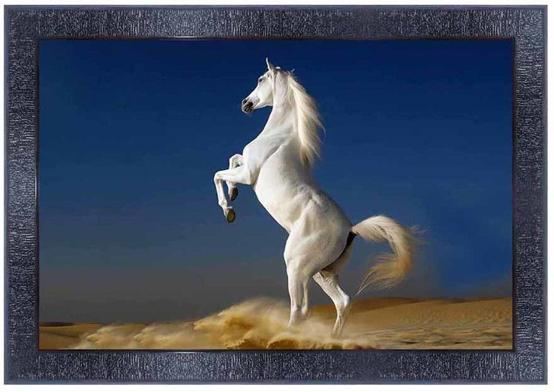 pnf Vastu Horse Frames Wood Photo Frames with Acrylic Sheet (Glass)7401- Digital Reprint 10 inch x 14 inch Painting  (With Frame)
