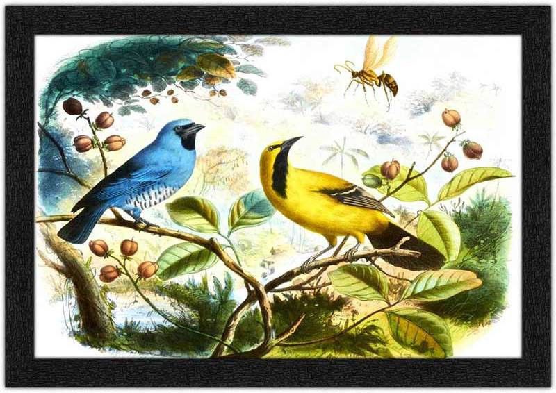 Wrap Up Box Digital Reprint 14 inch x 20 inch Painting  (With Frame)