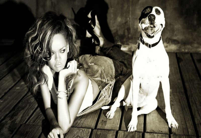 Poster Rihanna Dog Singer Black And White Poster Wall Poster sl1945 (13x19 Inches, Matte Paper, Multicolor) Fine Art Print  (19 inch X 13 inch, Rolled)
