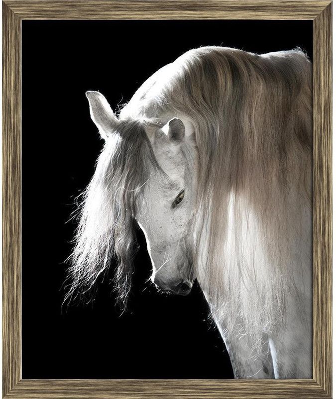 Artzfolio White Andalusian Horse On The Black Background Tabletop Painting Antique Golden Frame 10inch x 12.1inch (25.4cms x 30.7cms) Digital Reprint 10.5 inch x 12.6 inch Painting  (With Frame)