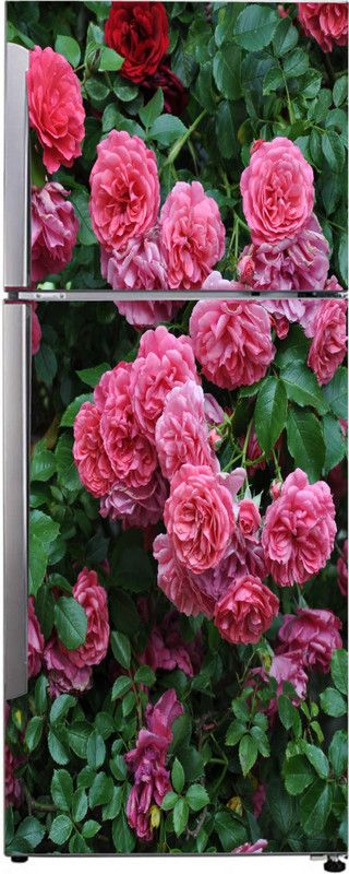 Advait Designs 60 cm Advait Designs Decorative pink peony flower with green leaves wallpaper sticker for fridge décor Self Adhesive Sticker  (Pack of 1)