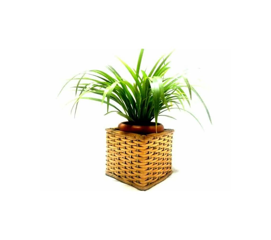 Wicker Decoration Shops / Tree Pot