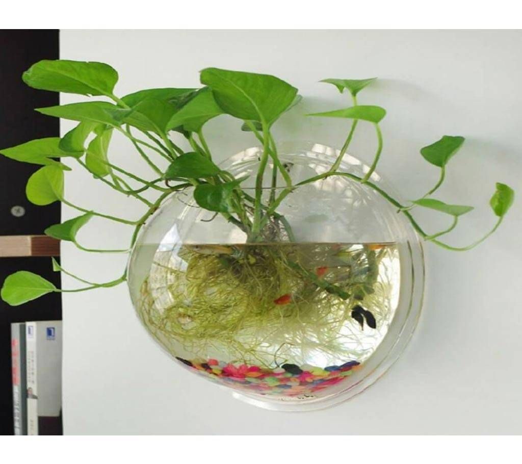 Acrylic Fish Bowl Wall Hanging Aquarium 23