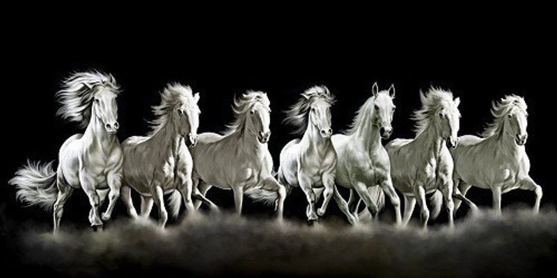 Art Factory Seven Horse Vaastu (Limited Edition – Copy Right Protected) Canvas 24 inch x 48 inch Painting  (Without Frame)