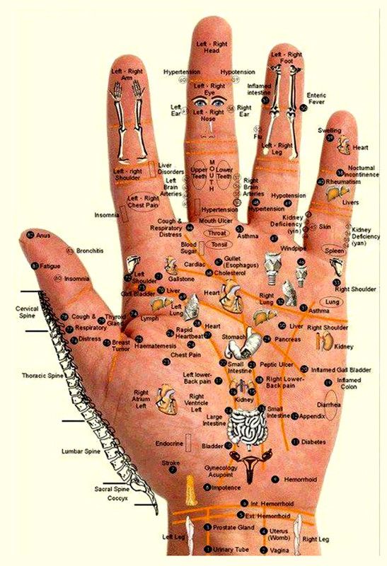 Accupressure poster Palm Hand Wall Poster Print on Art Paper 13x19 Inches Paper Print  (19 inch X 13 inch, Rolled)
