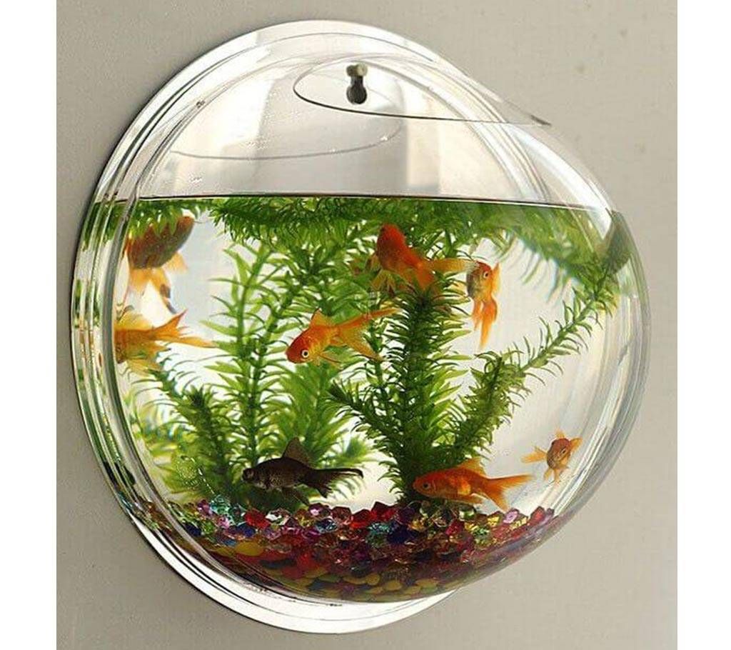Acrylic Fish Bowl Wall Hanging Aquarium 29CM Mirror