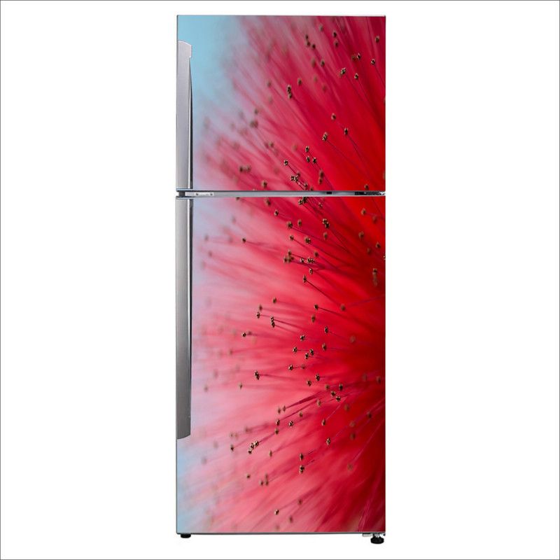 Advait Designs 60 cm Advait Designs Decorative red calliandra flowers Extra Large Fridge Sticker Self Adhesive Sticker  (Pack of 1)