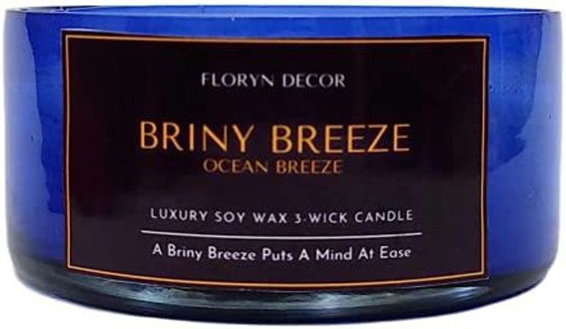 Floryn decor 3 Wick Candle | Candle for Home Decoration | Luxury Candle for Home Decor | | Burning Time - 40 Hours | Soy Wax Candles Scented (Ocean Breeze) Candle  (White, Pack of 1)