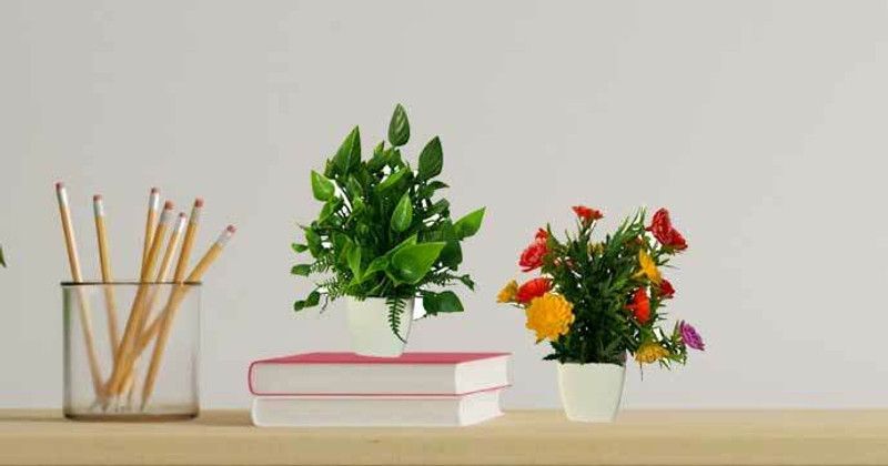 KAYKON Bonsai Wild Artificial Plant with Pot  (15 cm, Multicolor)