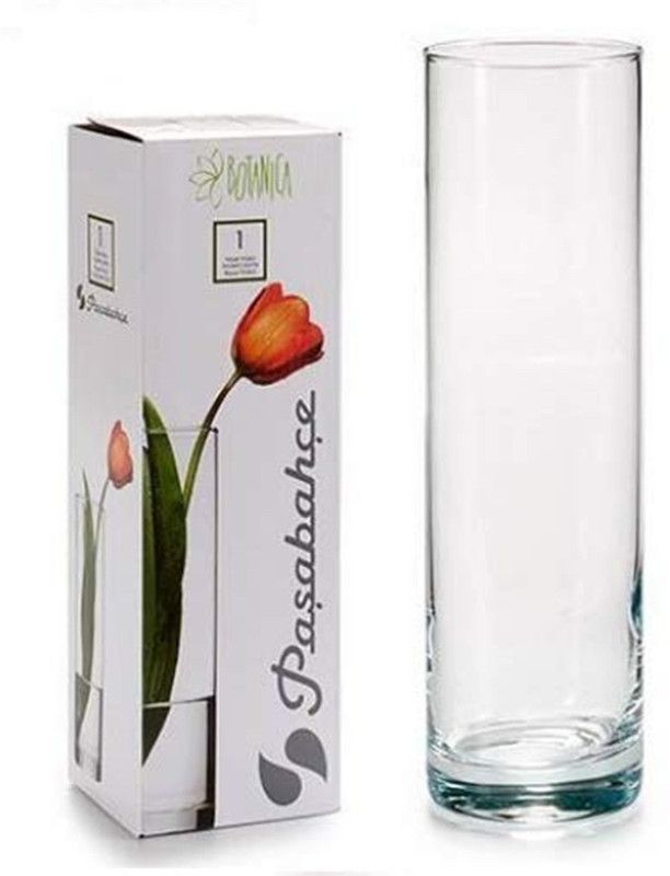 PASABAHCE Beautiful Straight Transparent Flora Glass Vase 10.5 inch Glass Vase  (4.5 inch, Clear)