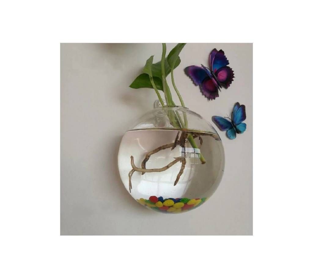 Bowl Bubble Aquarium