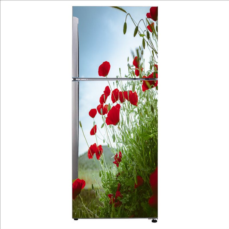 Khatwal Enterprises 160 cm Decorative poppy family flowering plant plant stem flower coquelicot Sticker Self Adhesive Sticker  (Pack of 1)