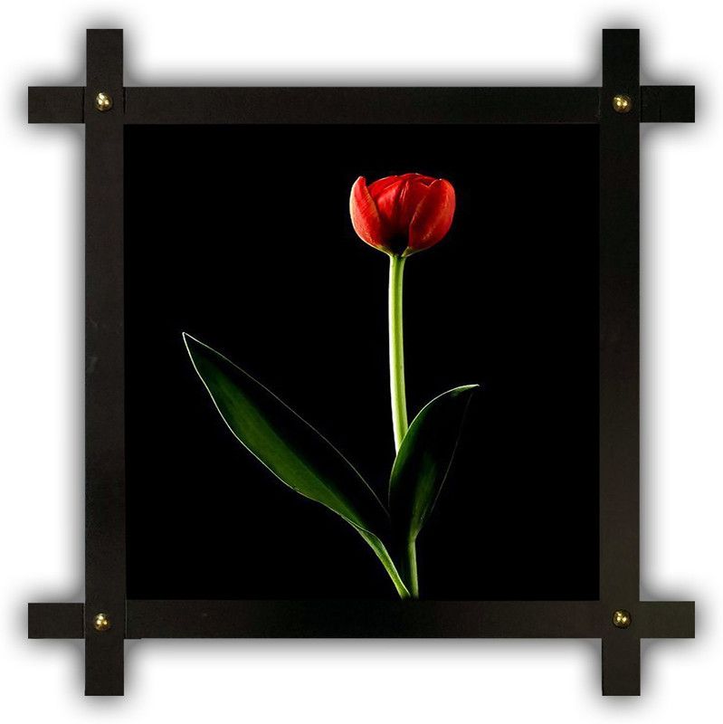 Poster N Frames Cross Wooden Frame Hand-Crafted with photo of Flower (floral) 25450-crossframe Digital Reprint 16.5 inch x 16.5 inch Painting  (With Frame)