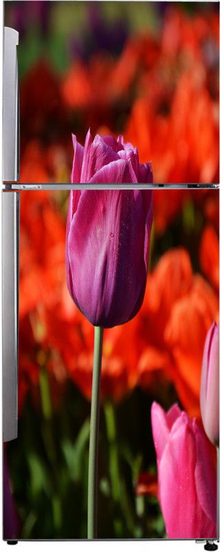 K2A Studio 60 cm pretty flower wallpaper extra large sticker for fridge decor Self Adhesive Sticker  (Pack of 1)