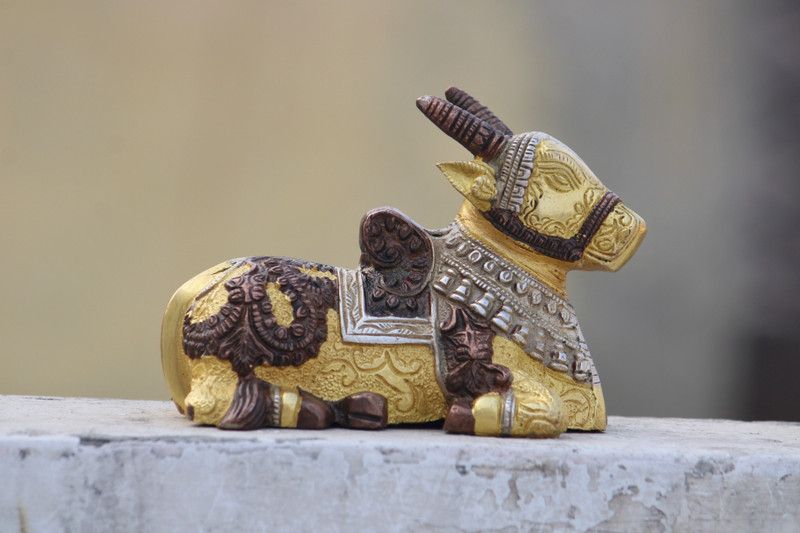 Vinjos Vastu Crafts Vastu Remedy Brass Nandi Statue in Golden,Copper and Silver Colored Polish Decorative Showpiece - 10.16 cm  (Brass, Gold, Copper, Silver)