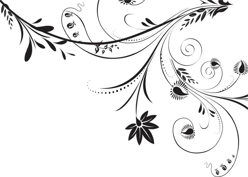 Divine studio 41 cm Beautiful decorative wall Drawing multicolor decorative wall sticker for wall decoration for home décor (pvc vinyl covering area 41 cm X 58cm) Self Adhesive Sticker  (Pack of 1)