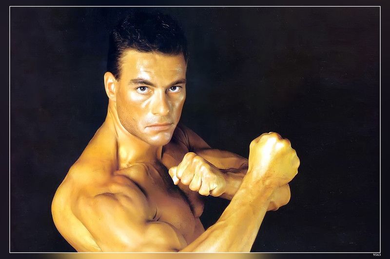 Movies Men Muscles Actors Faces Jean Claude Van Damme Matte Finish Poster Paper Print  (12 inch X 18 inch, 12 x 18 Inch Unframed)