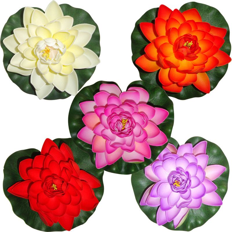 Muhil Floating Lotus Large Multicolor Lotus Artificial Flower  (7 inch, Pack of 5, Flower Bunch)