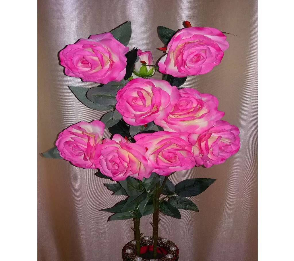 China Rose