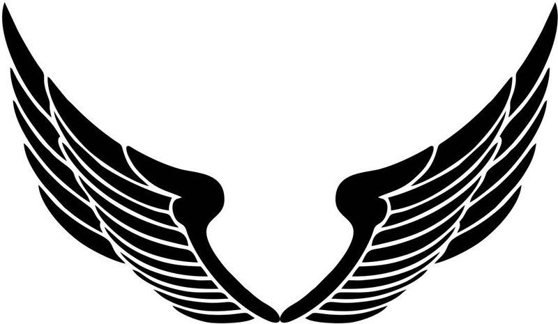 decor kraft 58 cm Black Wings Wall Sticker Self Adhesive Sticker  (Pack of 1)