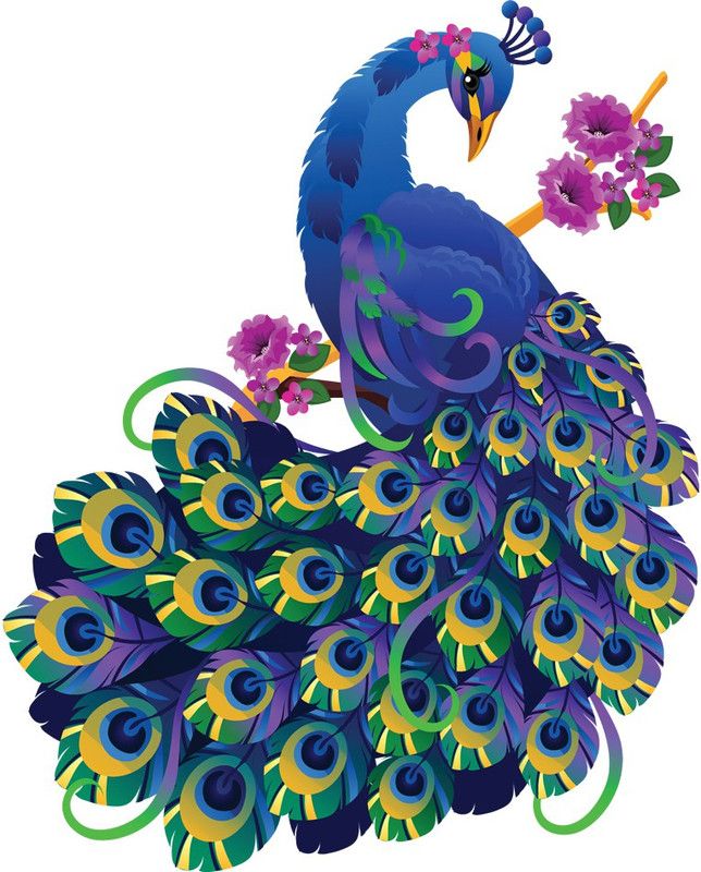 god & god's 51 cm Beautifull Peacock 511 Self Adhesive Sticker  (Pack of 1)