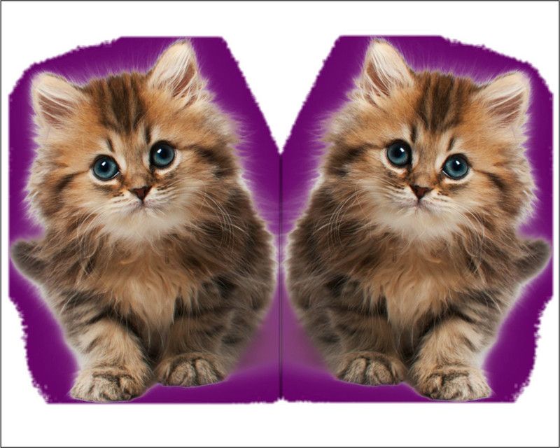 Jagvii 59 cm Cat twins Self Adhesive Sticker  (Pack of 1)