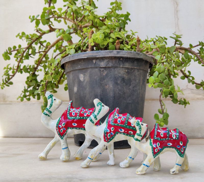CRAFTOHOLICS Camel Set of 3 Decorative Showpiece for Home Decor or for Gift Purpose - White Decorative Showpiece - 8 cm  (Paper Mache, White)