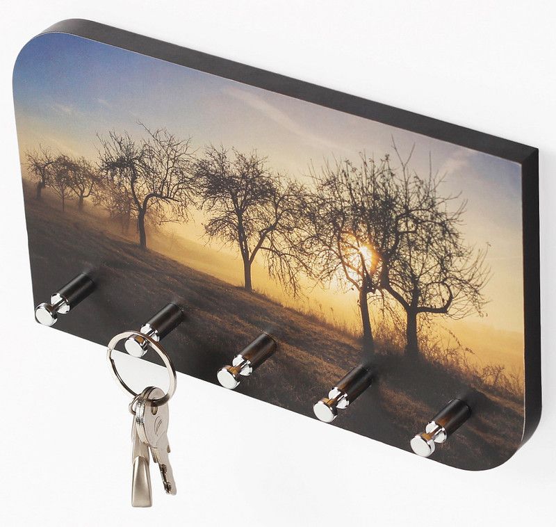 BLUEWUD Vivid Wall-Mount Key-Chain Holder, Key Organizer, Stand, Wood Key Holder  (5 Hooks, Brown)
