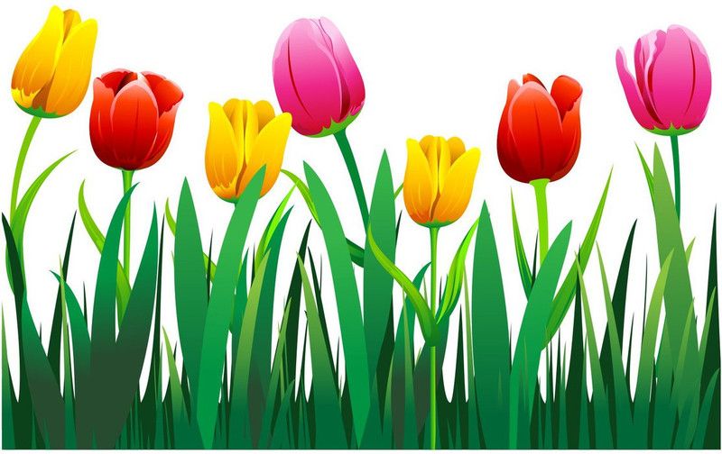 skgraphics 120 cm Tulip flower wall sticker Self Adhesive Sticker  (Pack of 1)