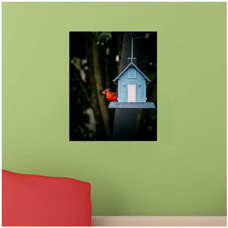 sudrashya BIRD AT HOME Canvas 36 inch x 24 inch Painting  (Without Frame)