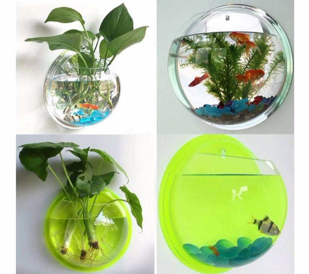 Wall Hanging Aquarium