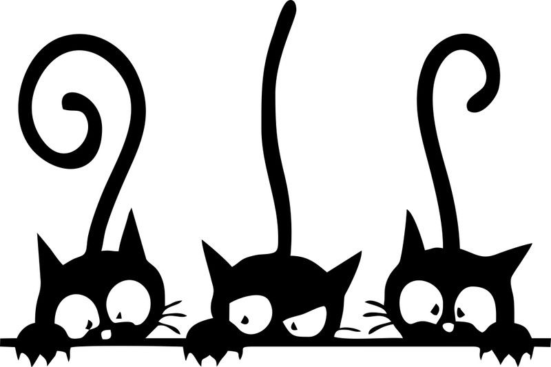SahajDecor 41 cm Three Cats with fun Magnetic Sticker  (Pack of 1)