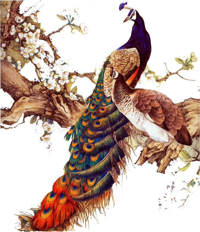 creatick Studio 60 cm 3D Flower Peacock Wall Sticker Self Adhesive Sticker  (Pack of 1)
