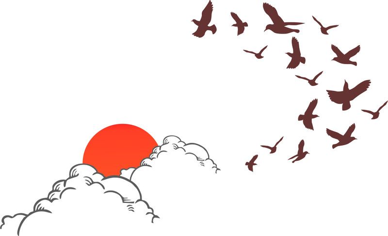 Decor studio 71 cm Sun set in clowd with birds pvc vinyl multicolor decorative wall sticker for wall decoration size : 71 Cm X 117 Cm Self Adhesive Sticker  (Pack of 1)