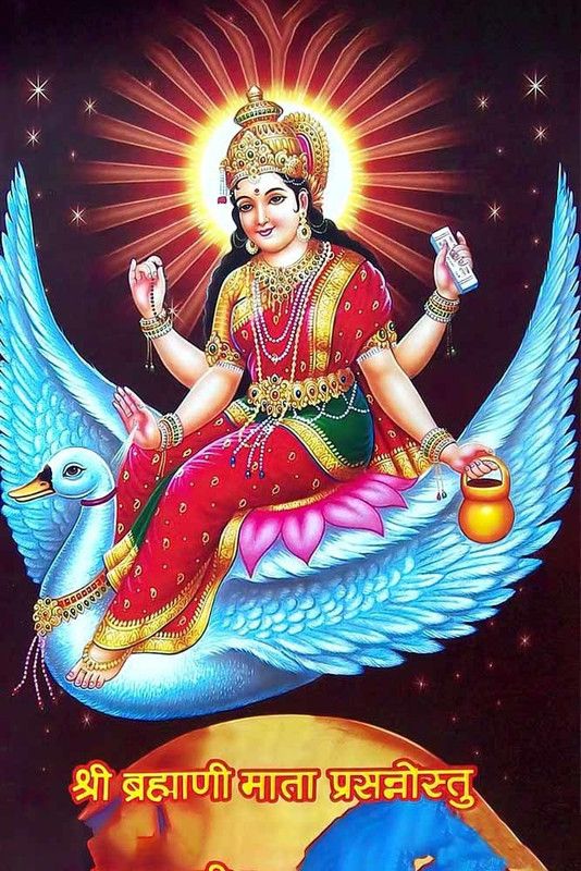 Goddess Brahmani Maa Religious Waterproof Vinyl Sticker Poster || (24 inch X 18 inch) btcan2906-2 Fine Art Print  (18 inch X 24 inch)