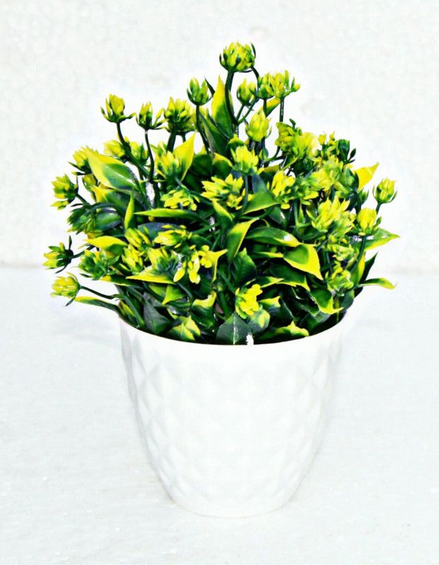 zonezer Artificial wild plant for home decoration set of 1small table plant for office ,balcony ,dining table in green colour. Green Wild Flower Artificial Flower with Pot  (10 inch, Pack of 1, Flower with Basket)