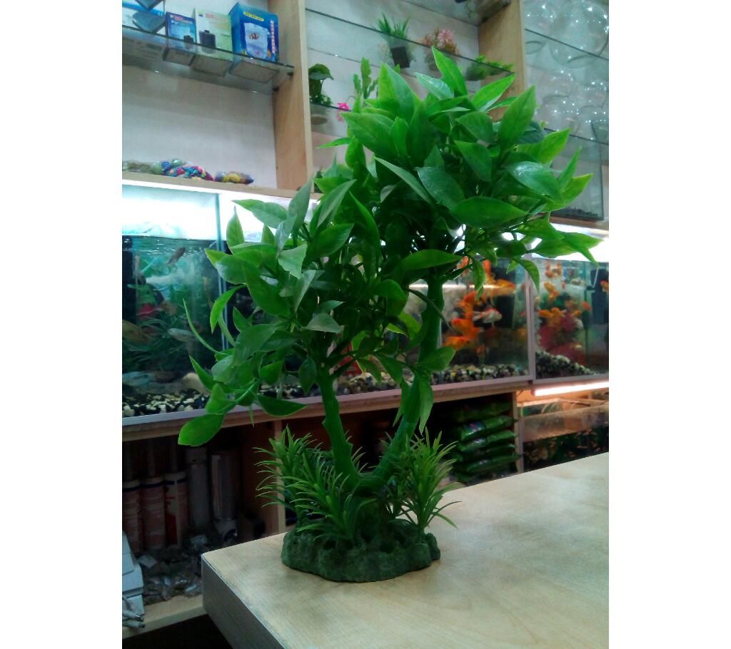 Aquarium Plant